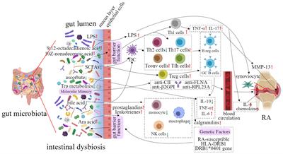 Rheumatoid arthritis and the intestinal microbiome: probiotics as a potential therapy